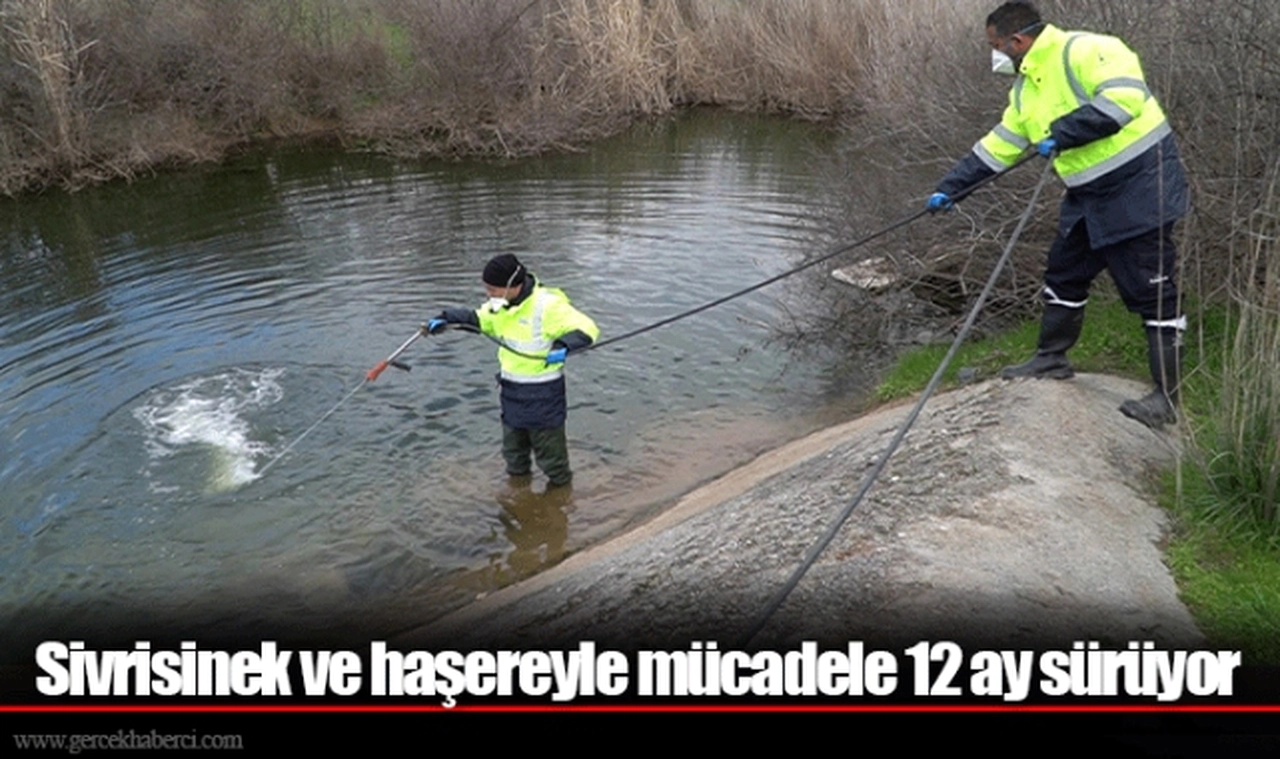 Budanan ağaçlar geri dönüştürülüyor 