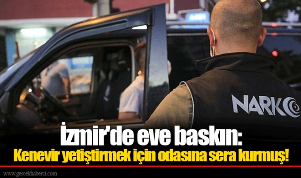 İzmir'de eve baskın: Kenevir yetiştirmek için odasına sera kurmuş!