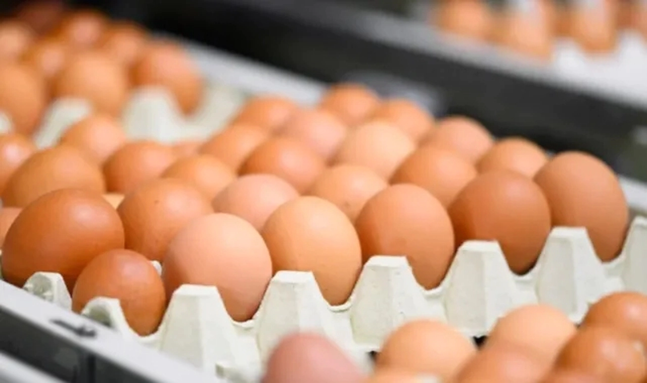 Kahverengi yumurtalar 2030'a kadar süpermarketlerden çekilecek
