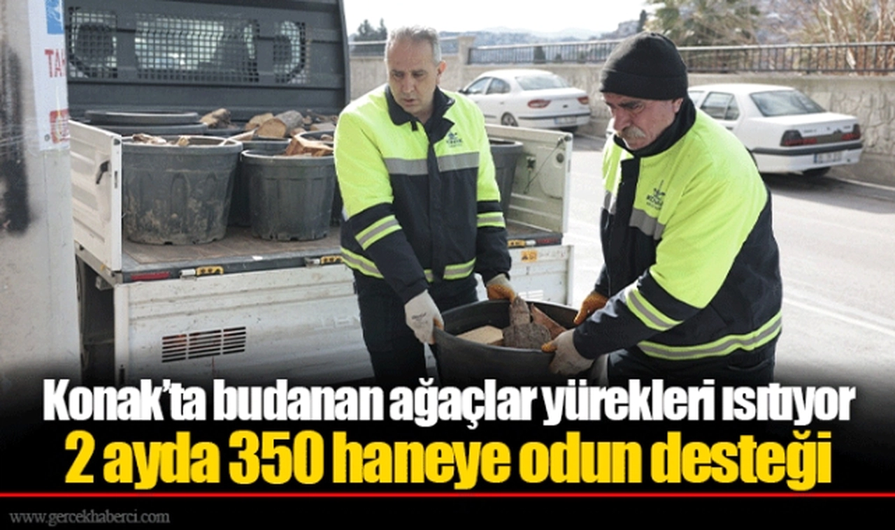 Konak’ta budanan ağaçlar yürekleri ısıtıyor