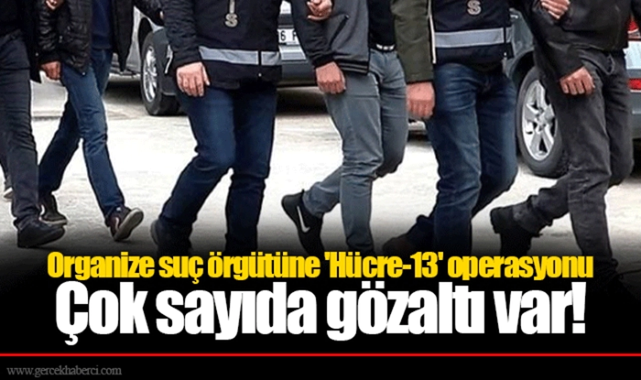 Organize suç örgütüne 'Hücre-13' operasyonu  Çok sayıda gözaltı var!
