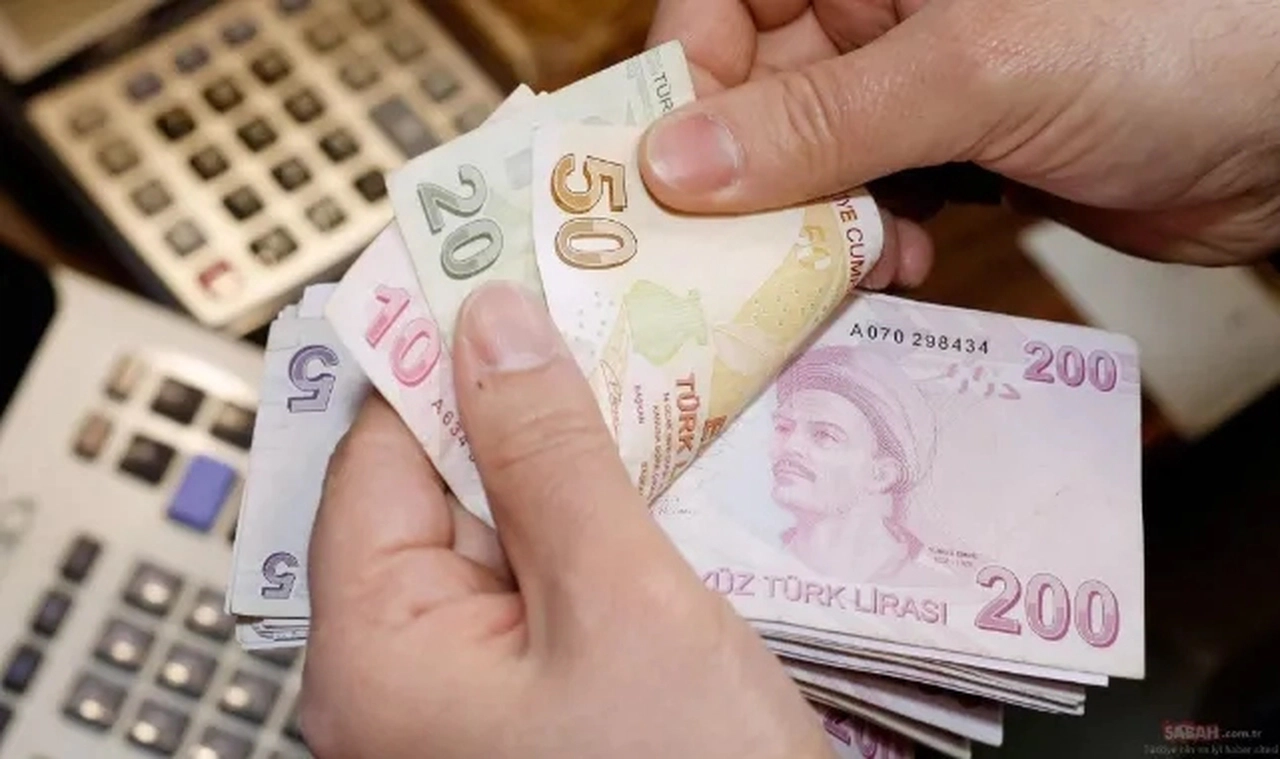 Tamamlayıcı Emeklilik Sistemi'ne ilişkin detaylar belli oldu