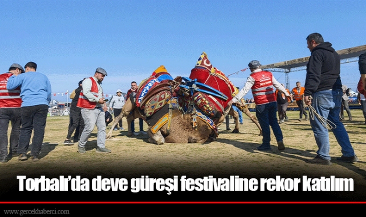 Torbalı’da deve güreşi festivaline rekor katılım