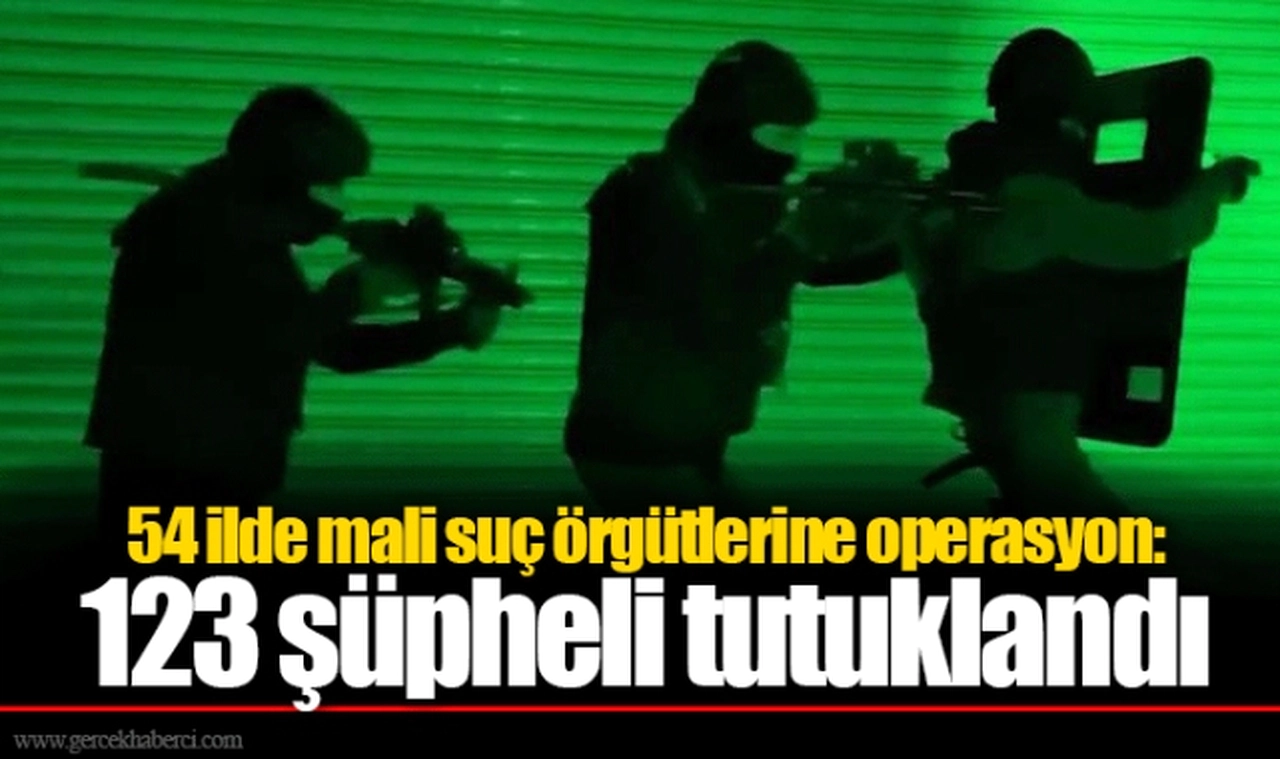 54 ilde mali suç örgütlerine operasyon: 123 şüpheli tutuklandı