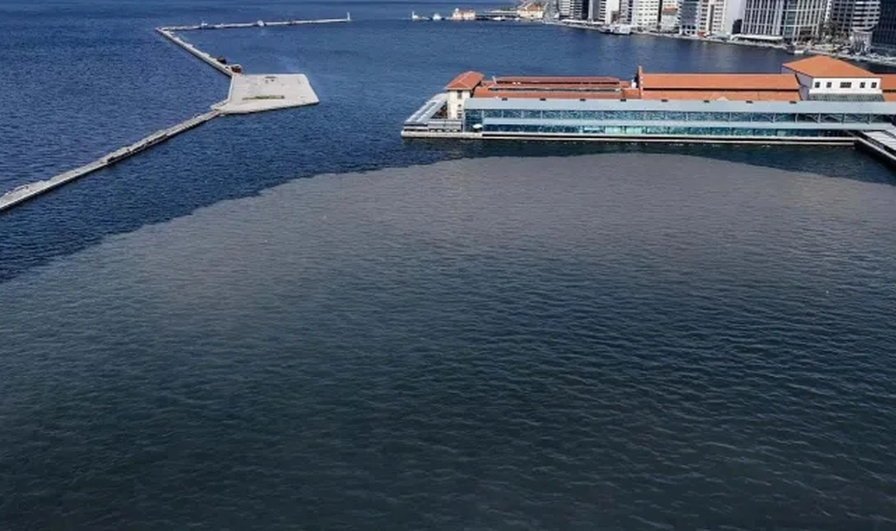 Başkan Tugay'dan Körfez açıklaması: Sabotaj yapıldı