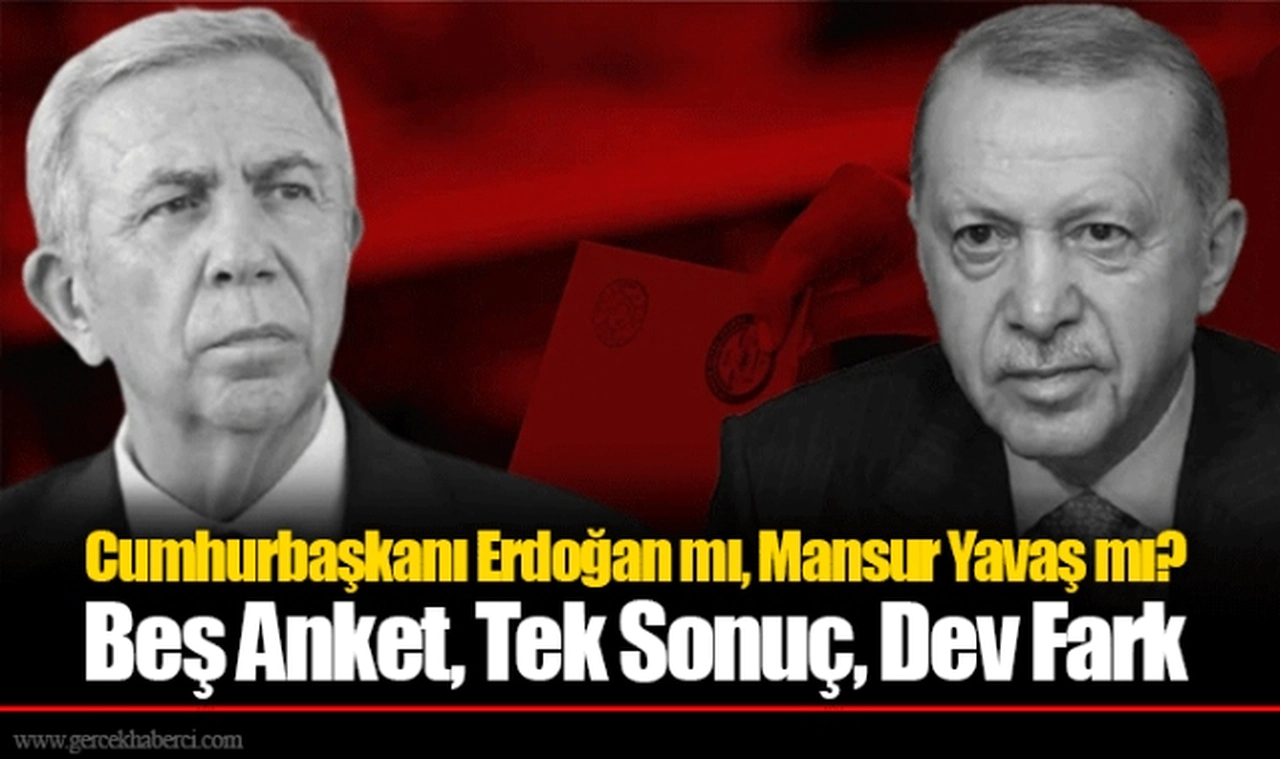 Cumhurbaşkanı Erdoğan mı, Mansur Yavaş mı? Beş Anket, Tek Sonuç, Dev Fark