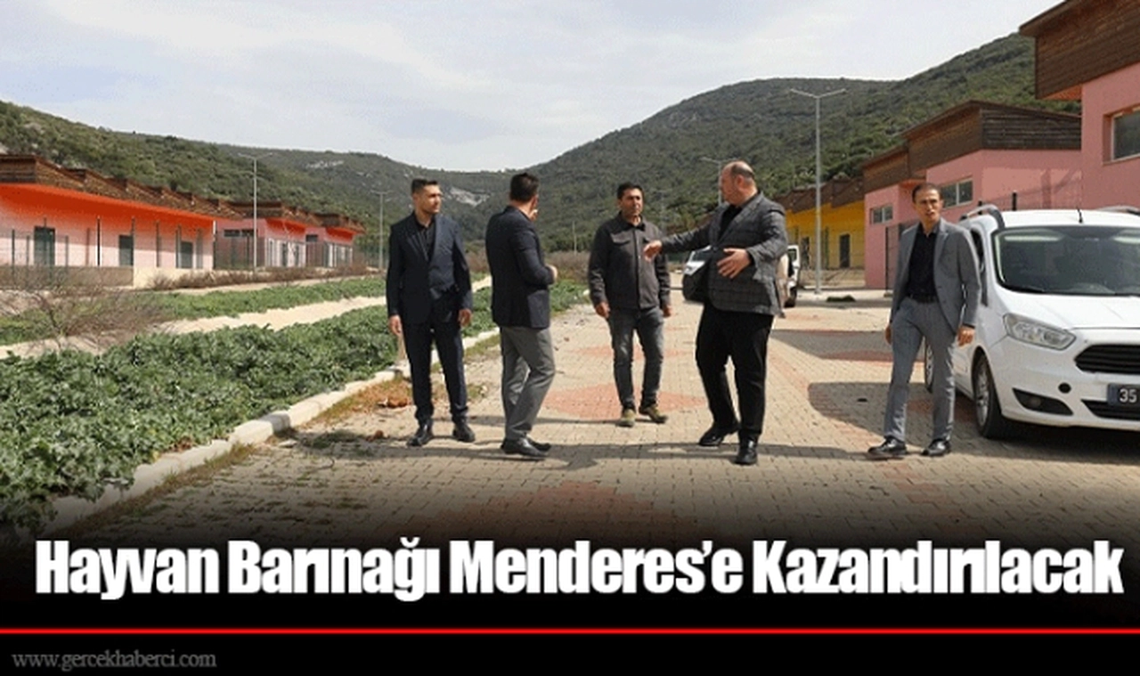 Hayvan Barınağı Menderes’e Kazandırılacak