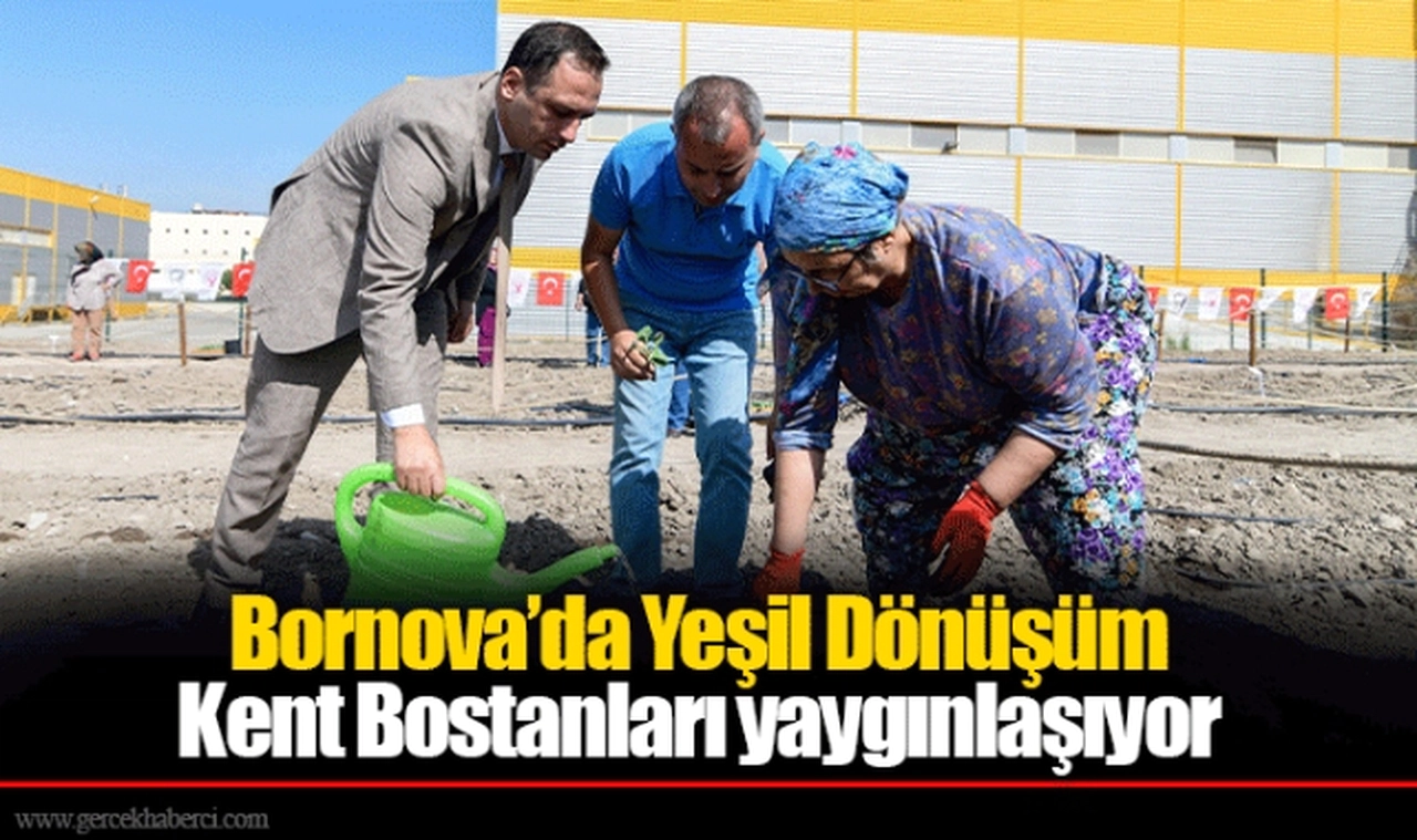 Bornova’da Yeşil Dönüşüm  Kent Bostanları yaygınlaşıyor
