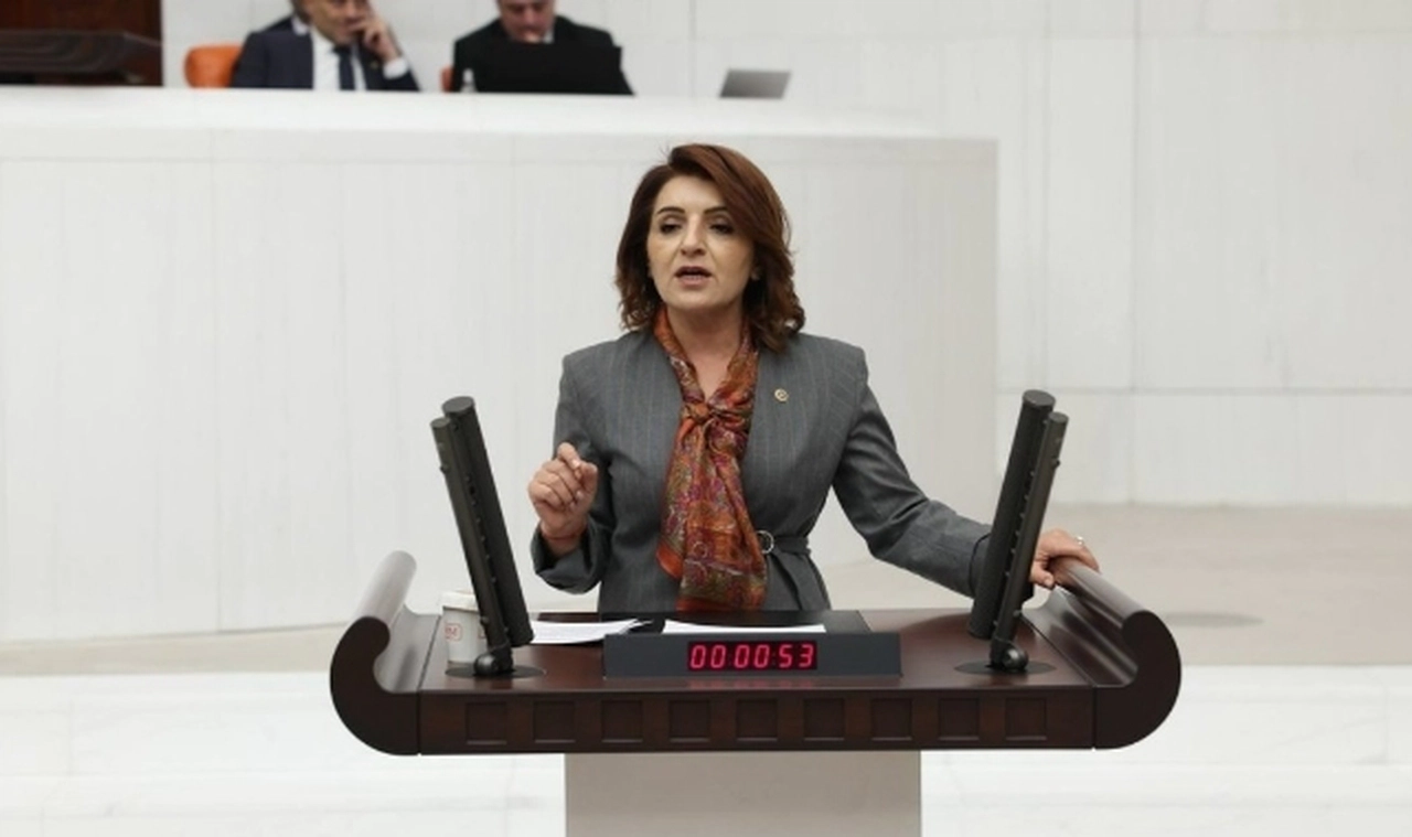 CHP'li Kış'tan Yusuf Tekin'e "müfredat" tepkisi: MEB kendiyle çelişiyor