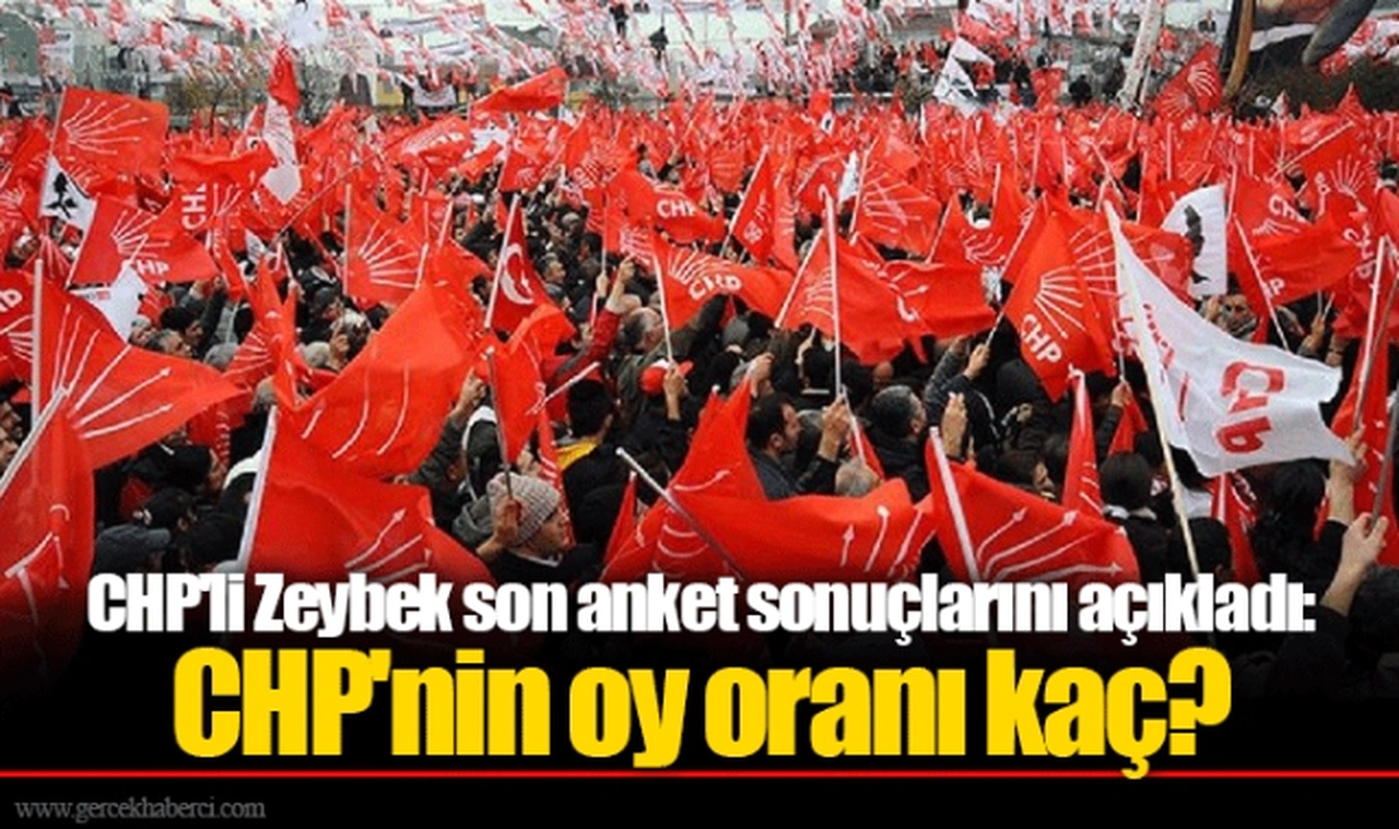 CHP'li Zeybek son anket sonuçlarını açıkladı: CHP'nin oy oranı kaç?