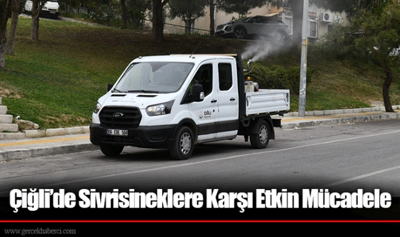 Çiğli’de Sivrisineklere Karşı Etkin Mücadele