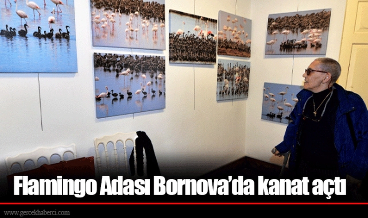 Flamingo Adası Bornova’da kanat açtı