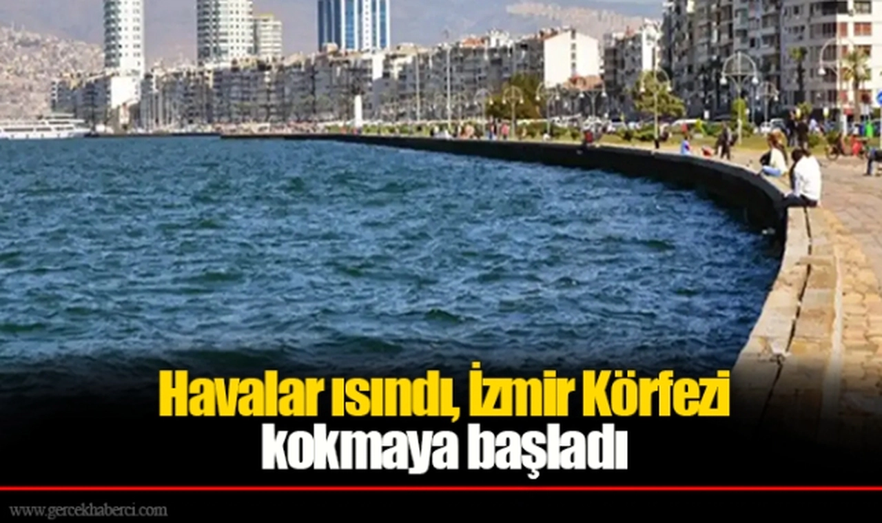 Havalar ısındı, İzmir Körfezi kokmaya başladı