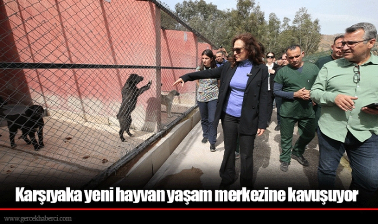Karşıyaka yeni hayvan yaşam merkezine kavuşuyor