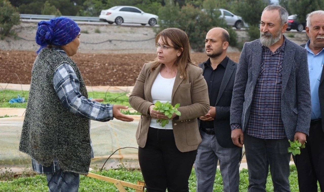 TBMM Başkanvekili CHP Denizli Milletvekili Gülizar Biçer Karaca, "Biz köylüden, çiftçiden, emekten yanayız"