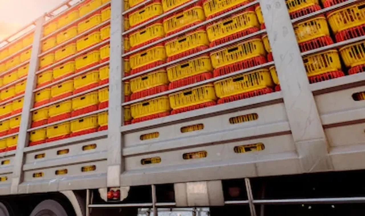 Yasak kalktı, zehirli limonlar Türkiye'ye iade edildi