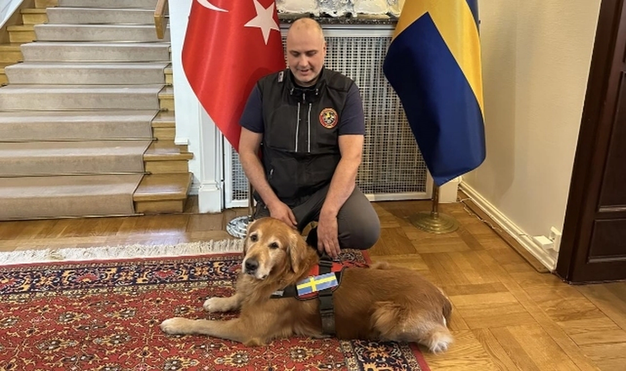Asrın felaketinde 18 kişiyi kurtaran kahraman köpek hayatını kaybetti