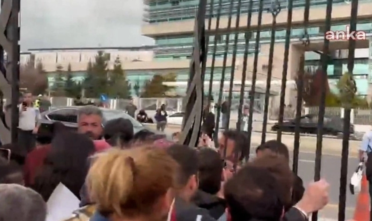 AYM'nin kararı sonrası hayvanseverler engellemeleri aştı, AYM'nin kapısına dayandı