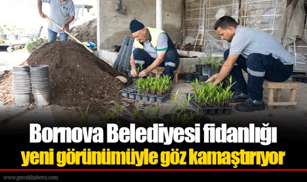 Bornova Belediyesi fidanlığı yeni görünümüyle göz kamaştırıyor