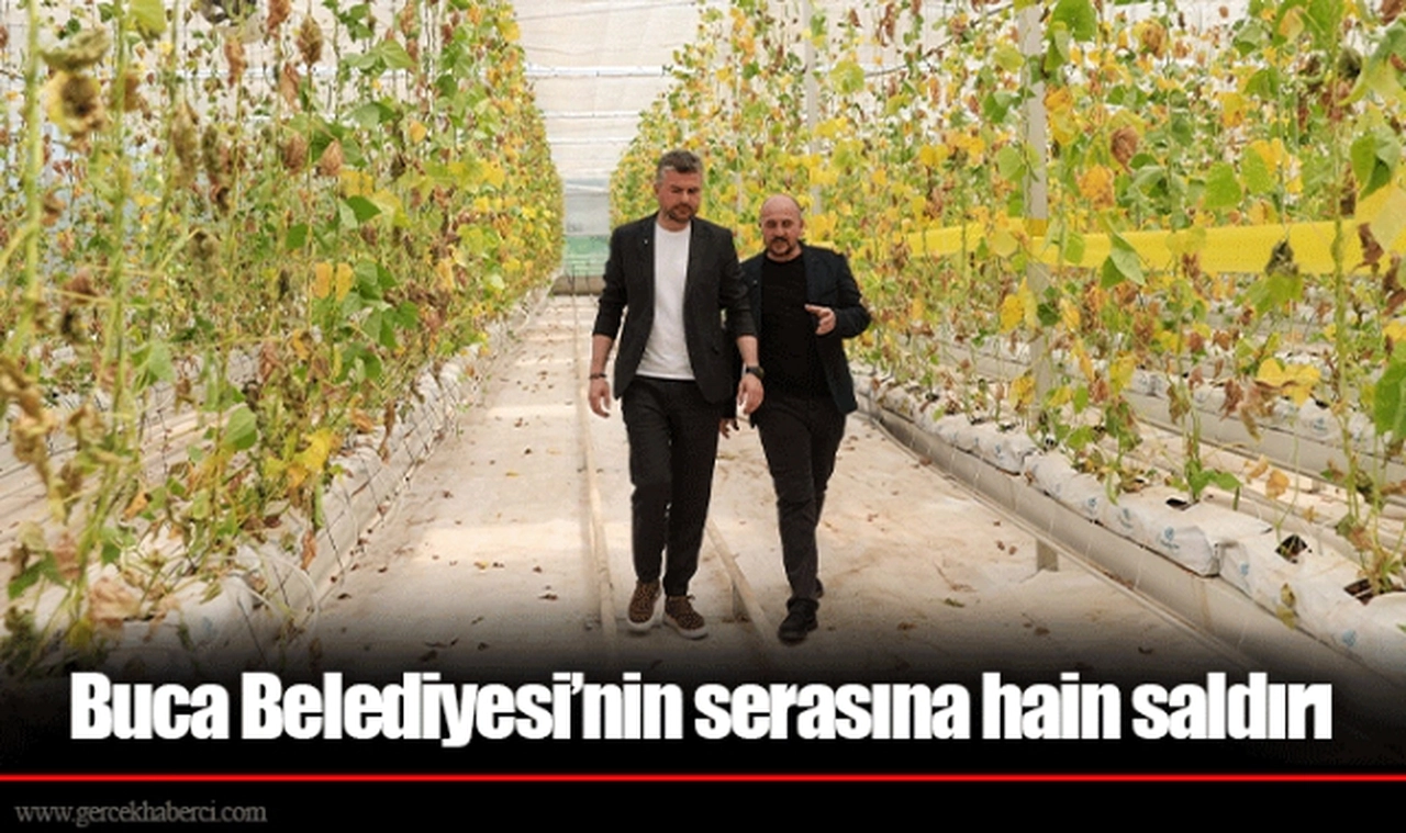 Buca Belediyesi’nin serasına hain saldırı