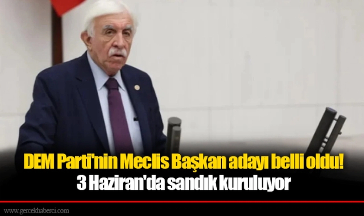 DEM Parti'nin Meclis Başkan adayı belli oldu! 3 Haziran'da sandık kuruluyor