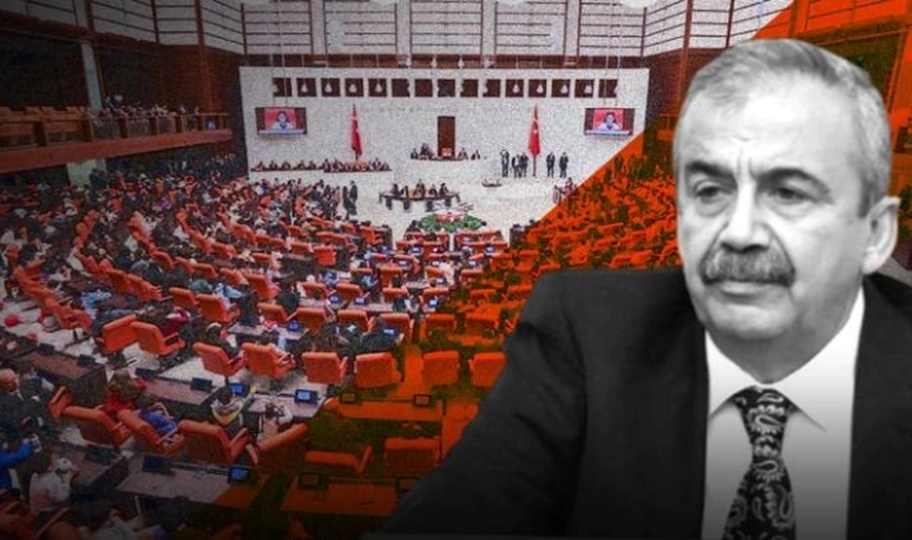 DEM Parti Sırrı Süreyya Önder’in yerine aday gösterecek. TBMM'de seçim süreci başladı