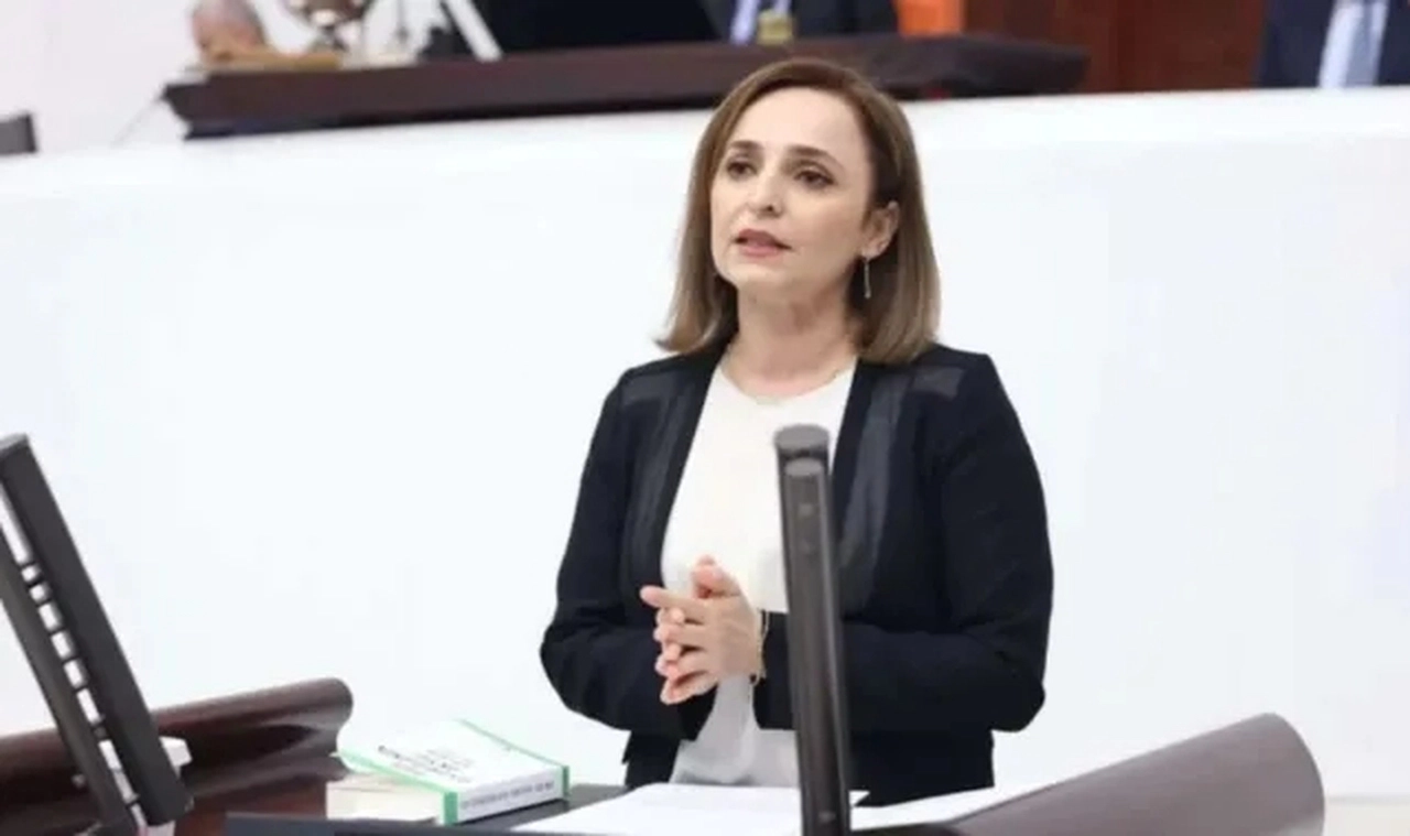 DEM Partili Ayşegül Doğan, AK Parti'li Ömer Çelik'in sözlerini hatırlattı: Olumlu gelişmeyi çağıracaktır