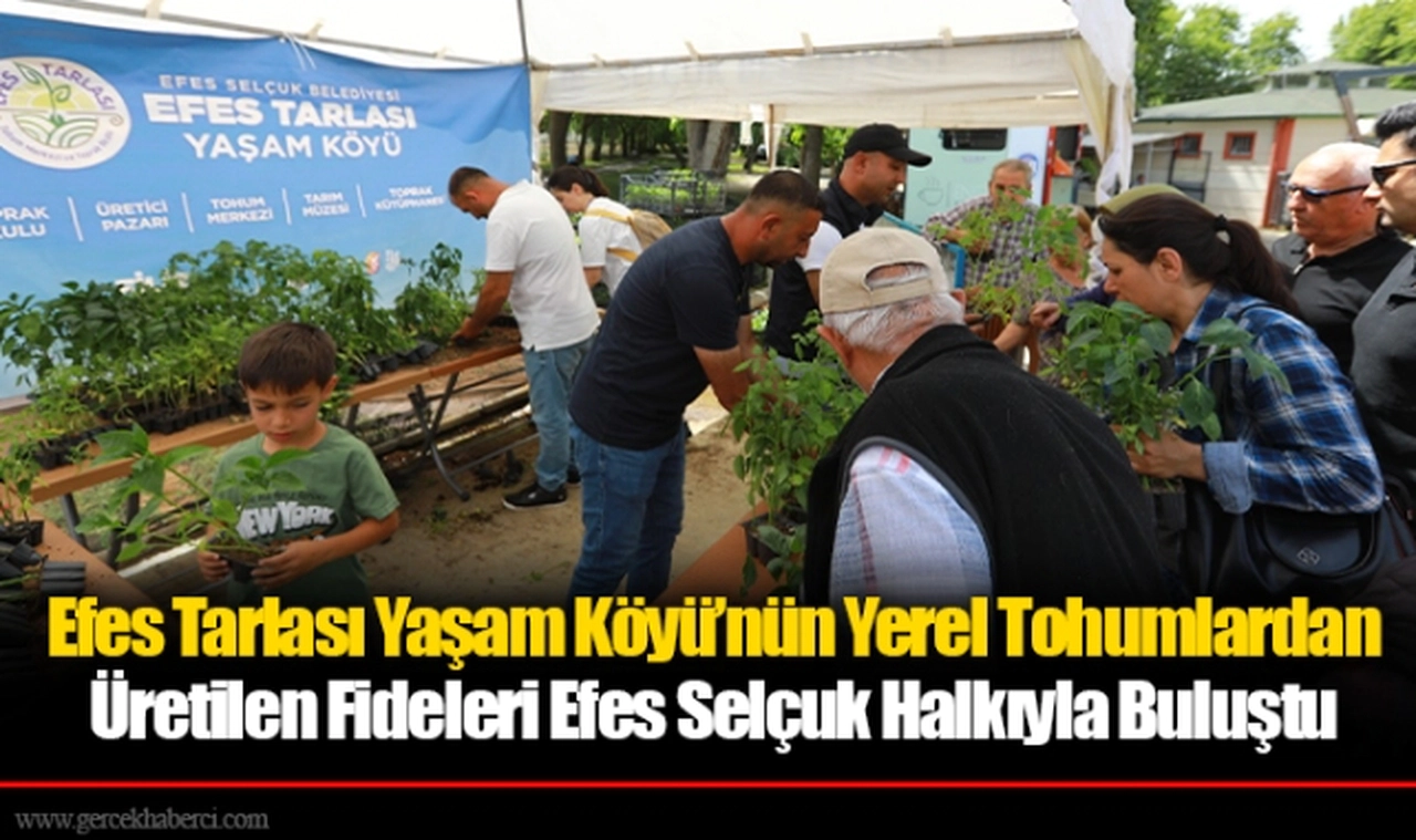 Efes Tarlası Yaşam Köyü’nün Yerel Tohumlardan Üretilen Fideleri Efes Selçuk Halkıyla Buluştu