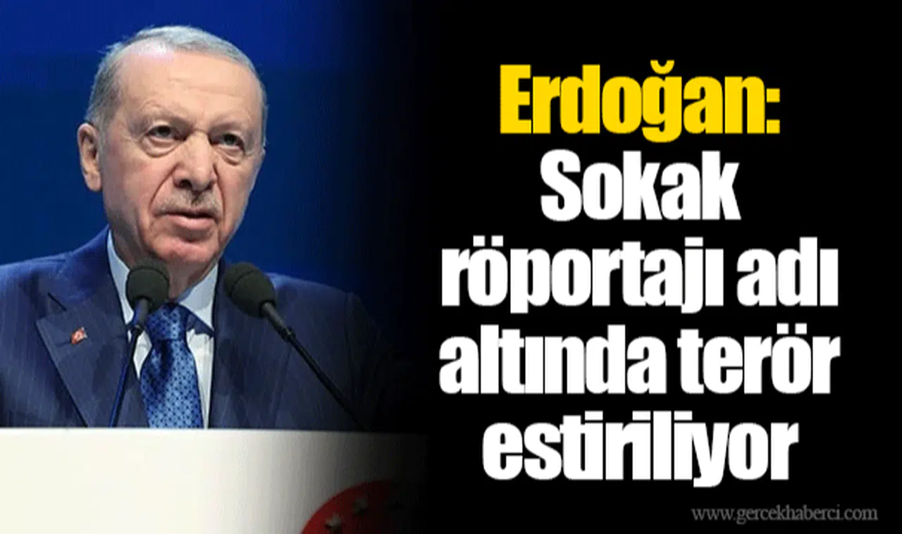 Erdoğan: Sokak röportajı adı altında terör estiriliyor