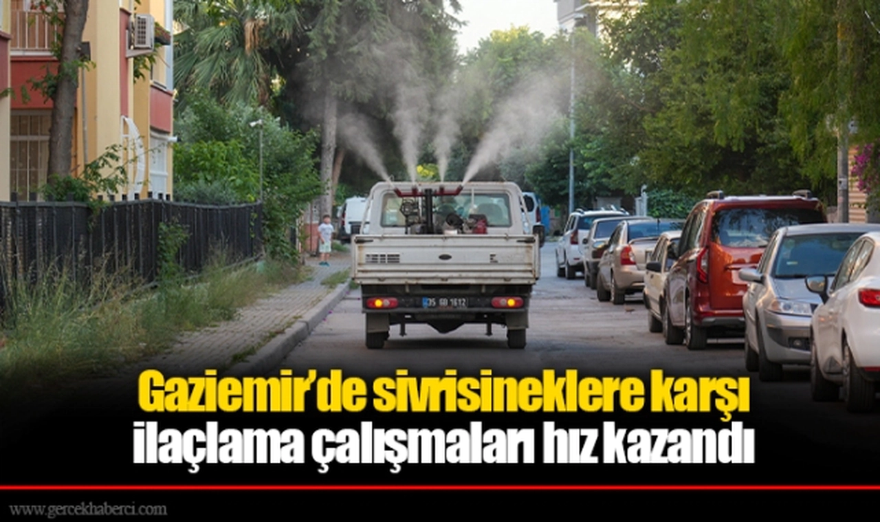 Gaziemir’de sivrisineklere karşı ilaçlama çalışmaları hız kazandı