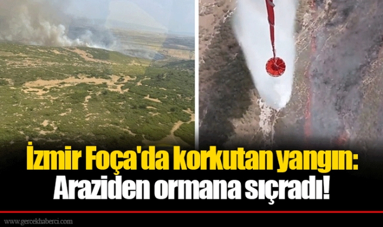 İzmir Foça'da korkutan yangın: Araziden ormana sıçradı!