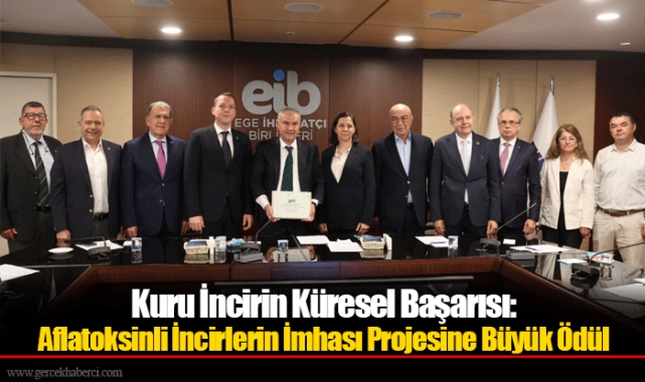 Kuru İncirin Küresel Başarısı: Aflatoksinli İncirlerin İmhası Projesine Büyük Ödül