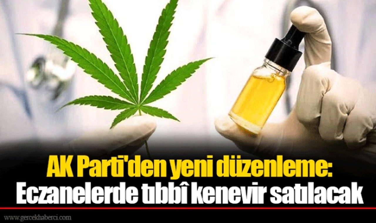AK Parti'den yeni düzenleme: Eczanelerde tıbbî kenevir satılacak