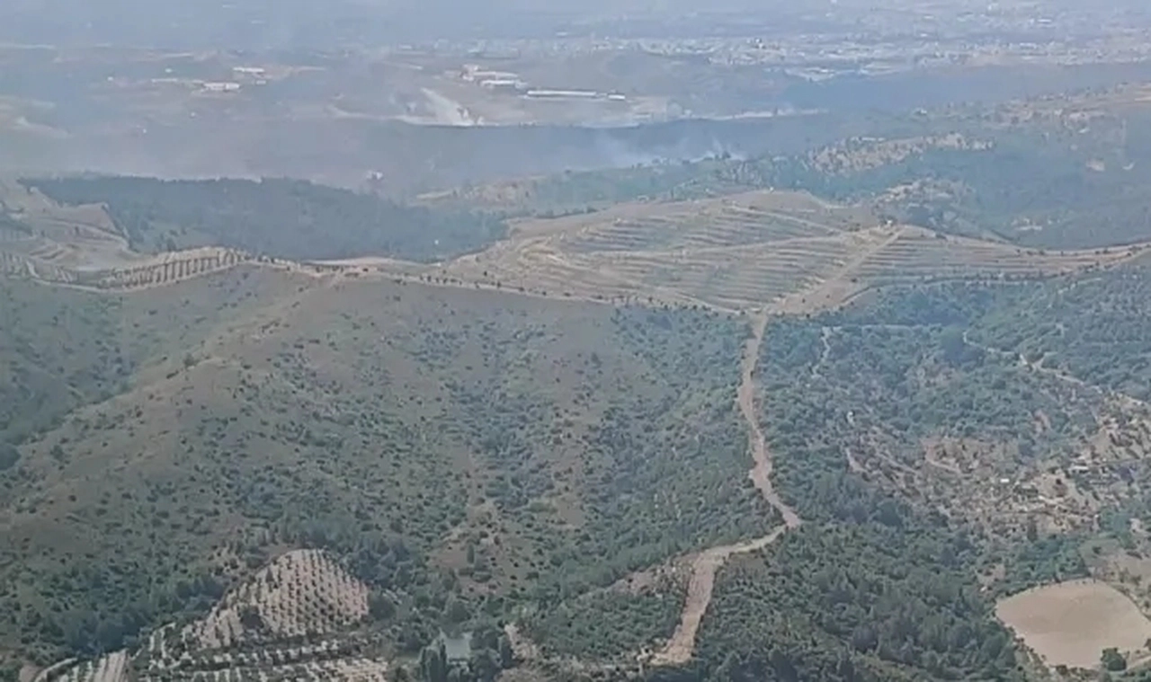 Beydağ'da ağaçlık alanda çıkan yangın kontrol altına alındı