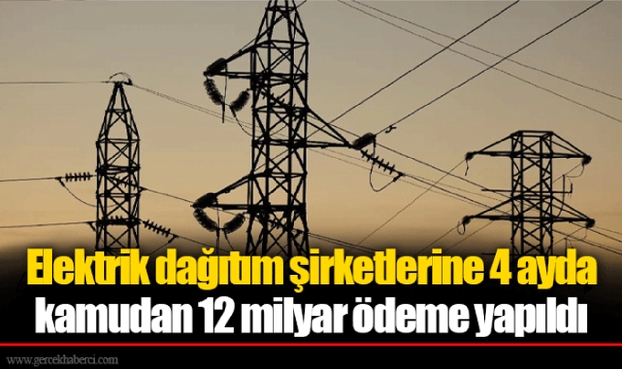Elektrik dağıtım şirketlerine 4 ayda kamudan 12 milyar ödeme yapıldı