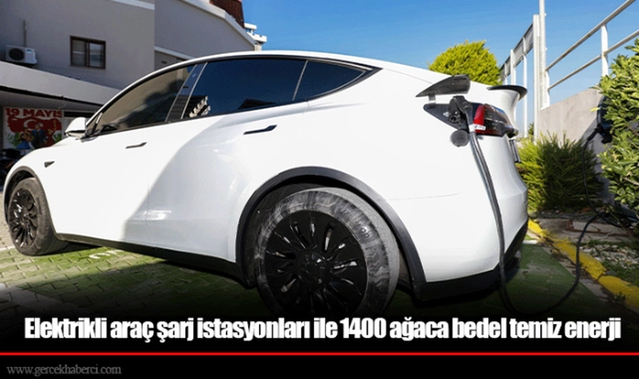 Elektrikli araç şarj istasyonları ile 1400 ağaca bedel temiz enerji