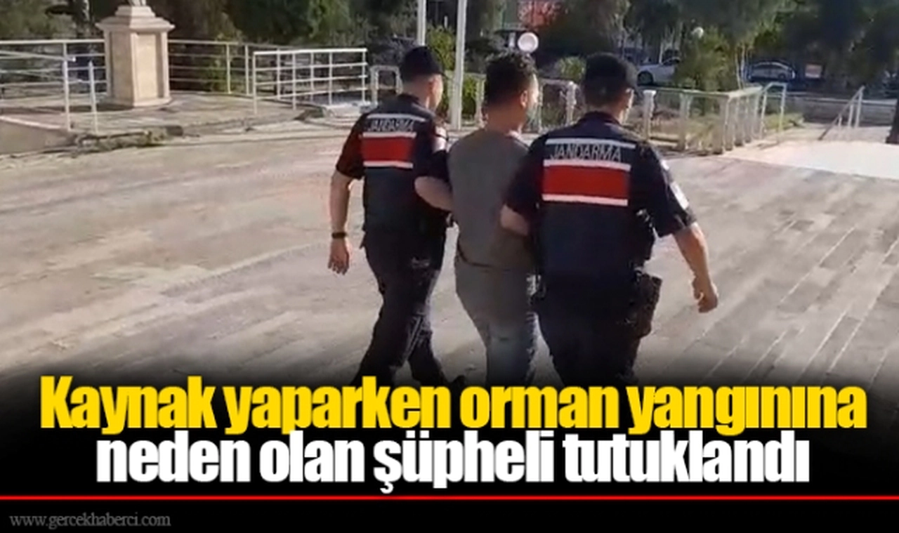 İzmir'de kaynak yaparken orman yangınına neden olan şüpheli tutuklandı