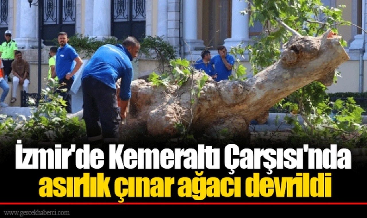 İzmir'de Kemeraltı Çarşısı'nda asırlık çınar ağacı devrildi