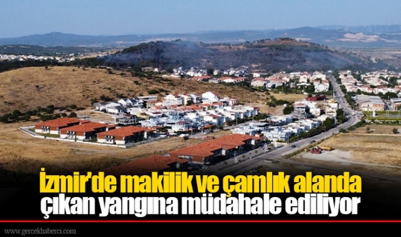 İzmir'de makilik ve çamlık alanda çıkan yangına müdahale ediliyor