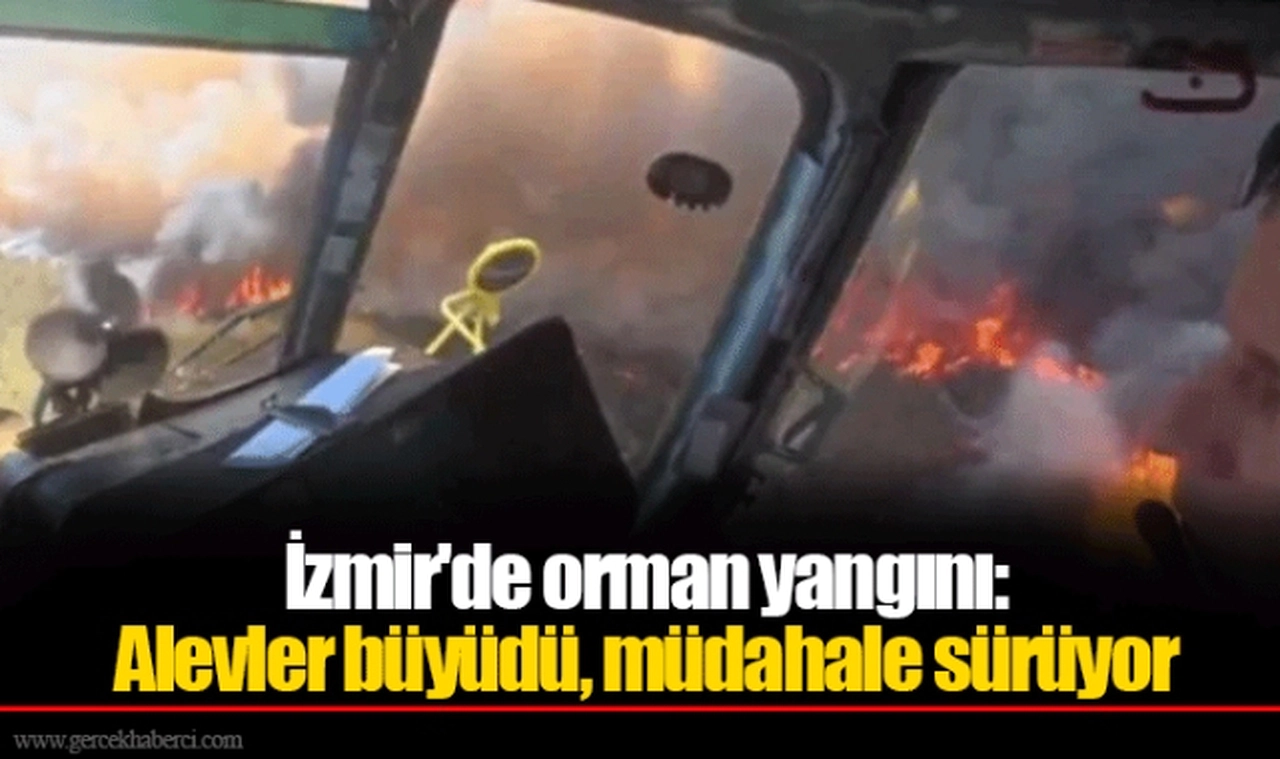 İzmir'de orman yangını: Alevler büyüdü, müdahale sürüyor