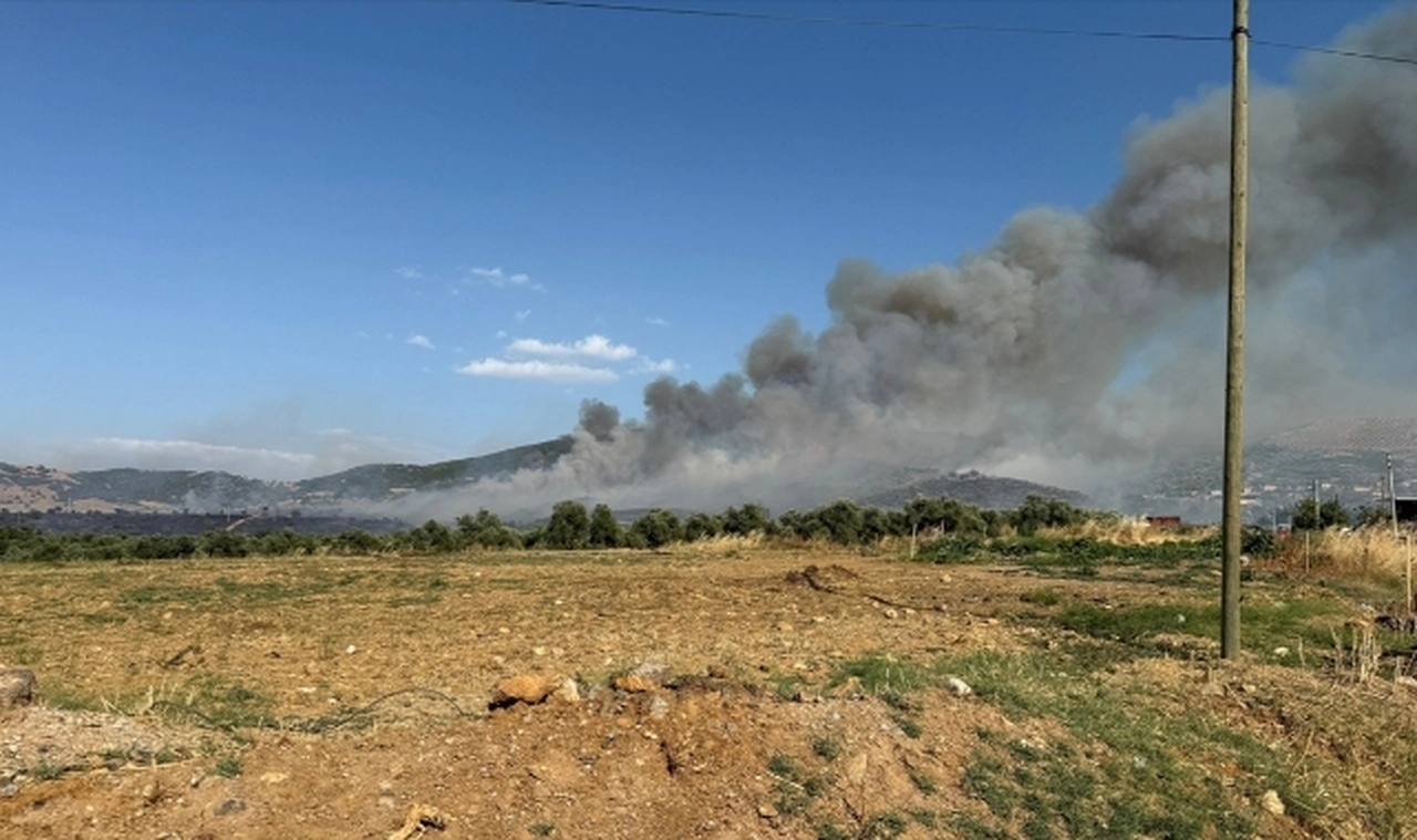 İzmir'de otluk alandan yerleşim yerlerine sıçrayan yangın kontrol altına alındı