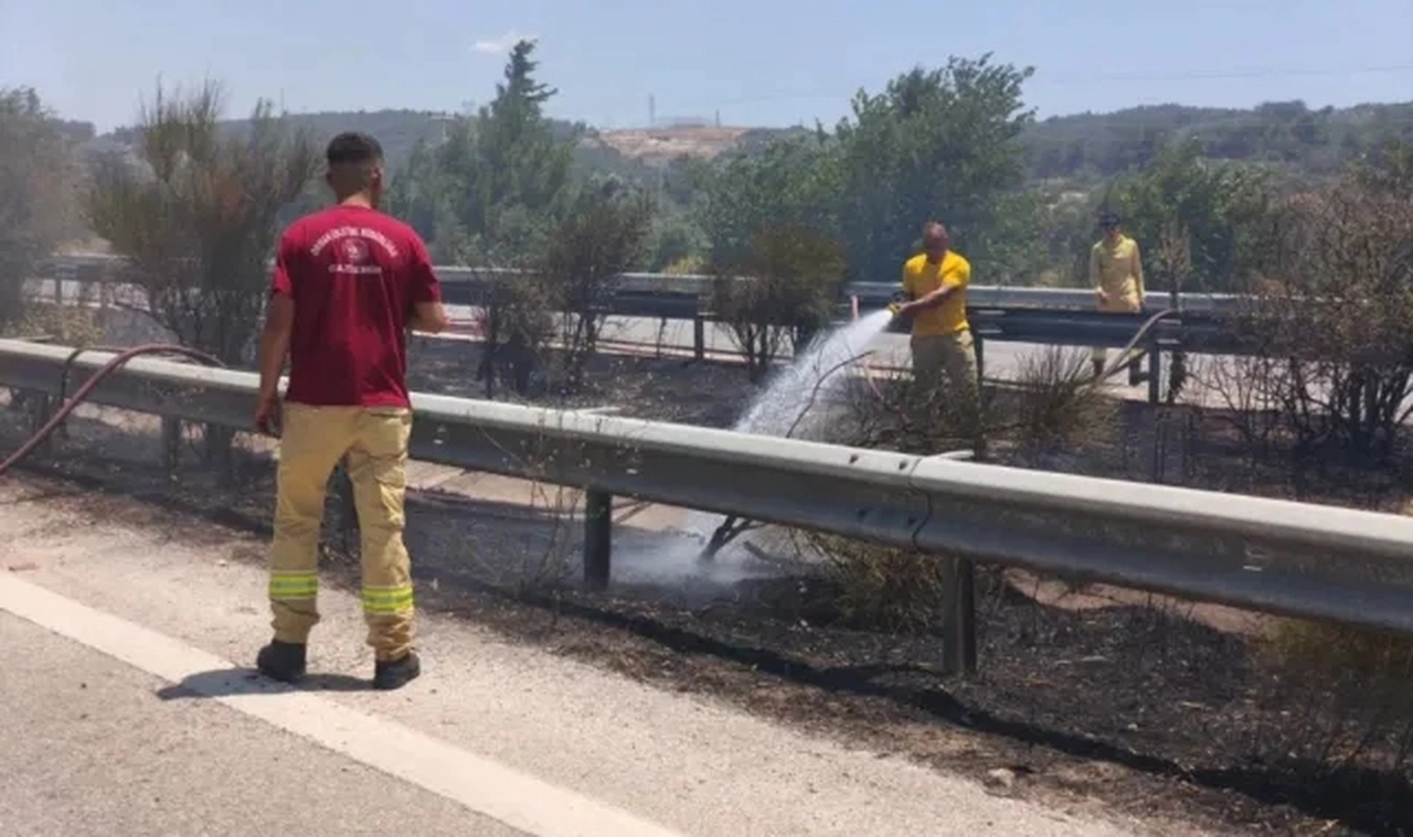 İzmir'de zeytinlik alanda çıkan yangın yola sıçradı! Gişeler geçici olarak kapatıldı