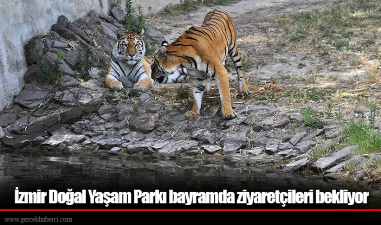 İzmir Doğal Yaşam Parkı bayramda ziyaretçileri bekliyor