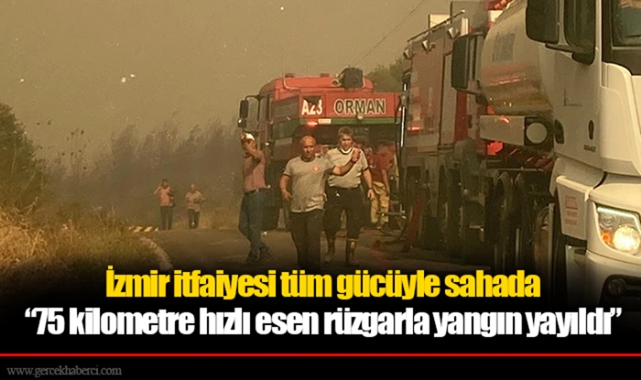 İzmir itfaiyesi tüm gücüyle sahada