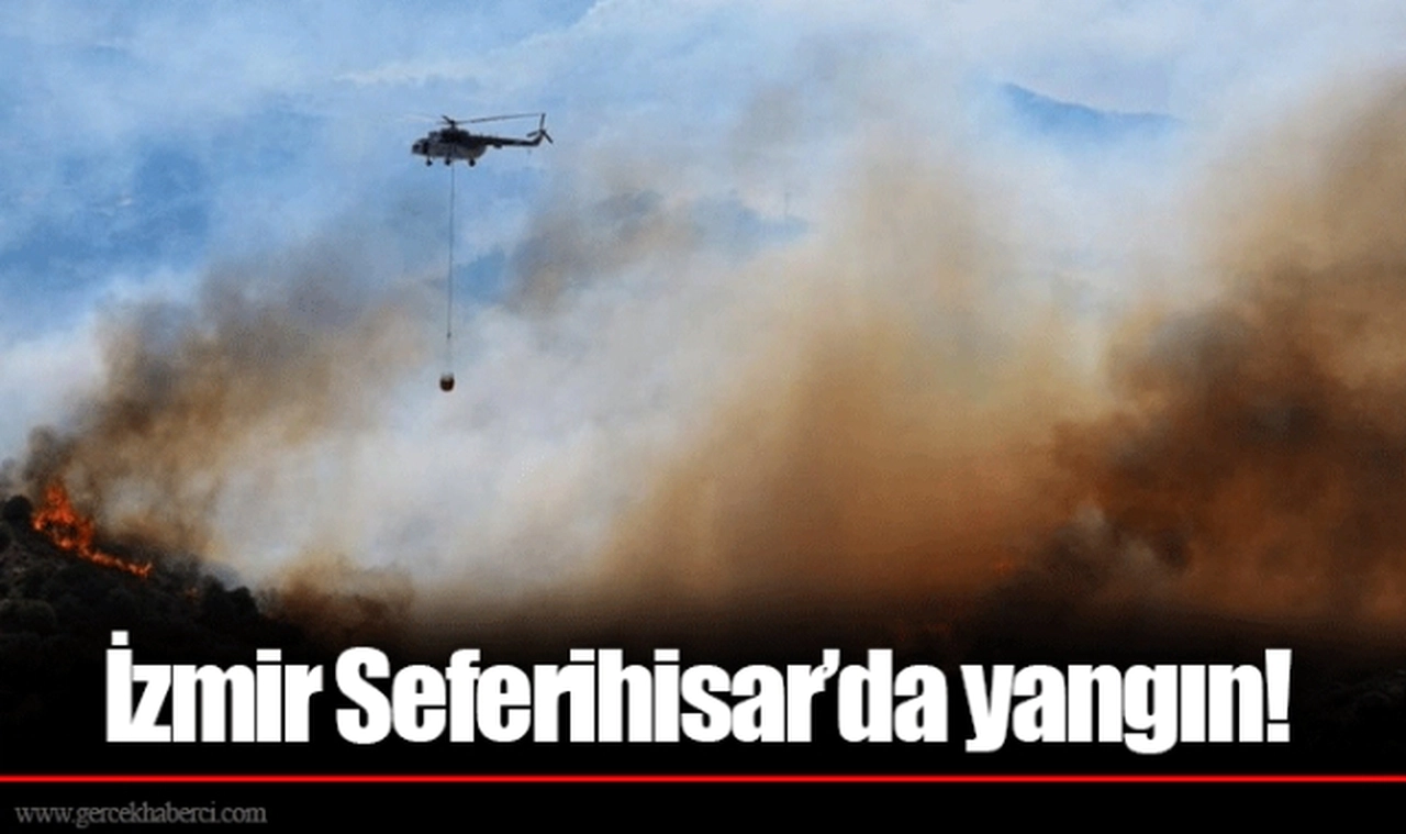 İzmir Seferihisar’da yangın!