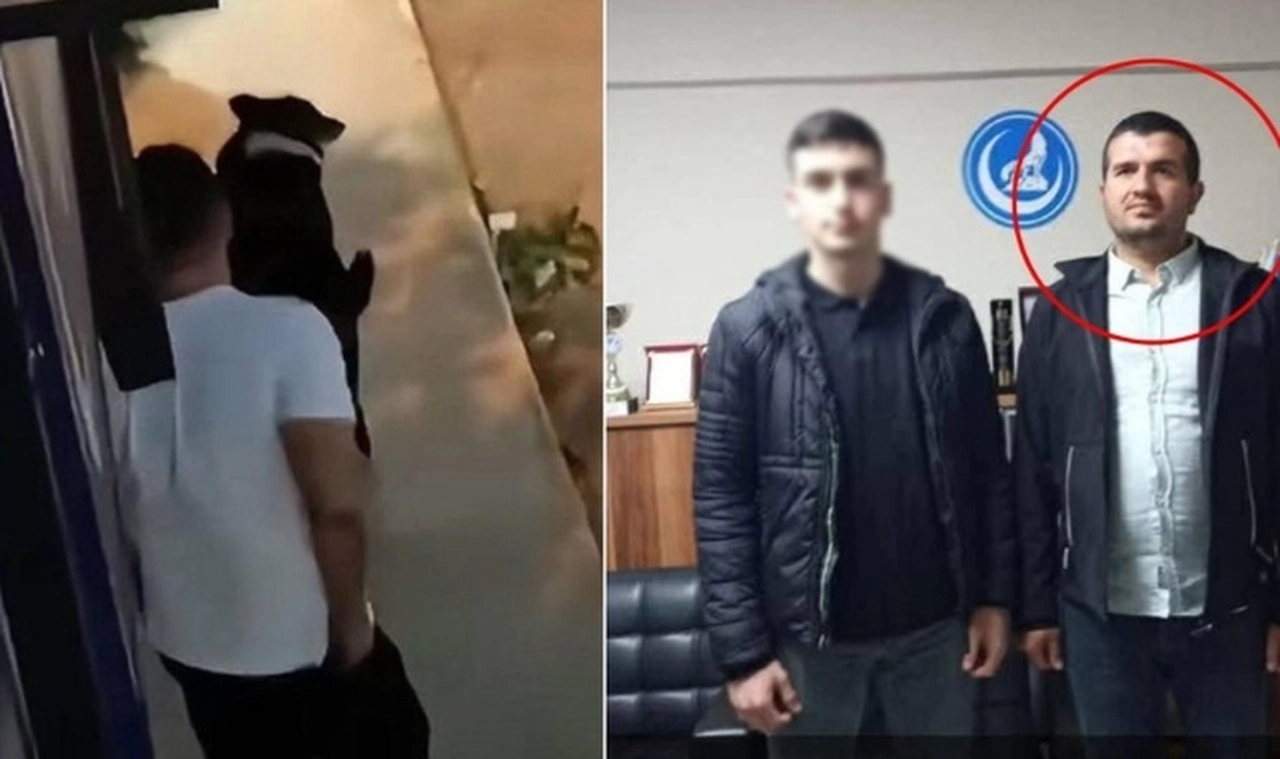Köpeğe tecavüz etti, serbest kaldı: Ülke Ocakları üyesi çıktı!