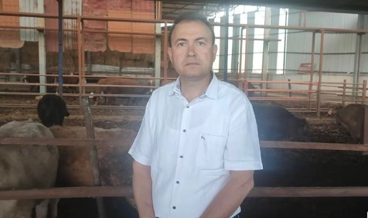 Kurbanlık dana poz verirken can aldı