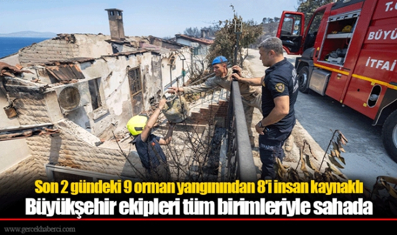Son 2 gündeki 9 orman yangınından 8'i insan kaynaklı