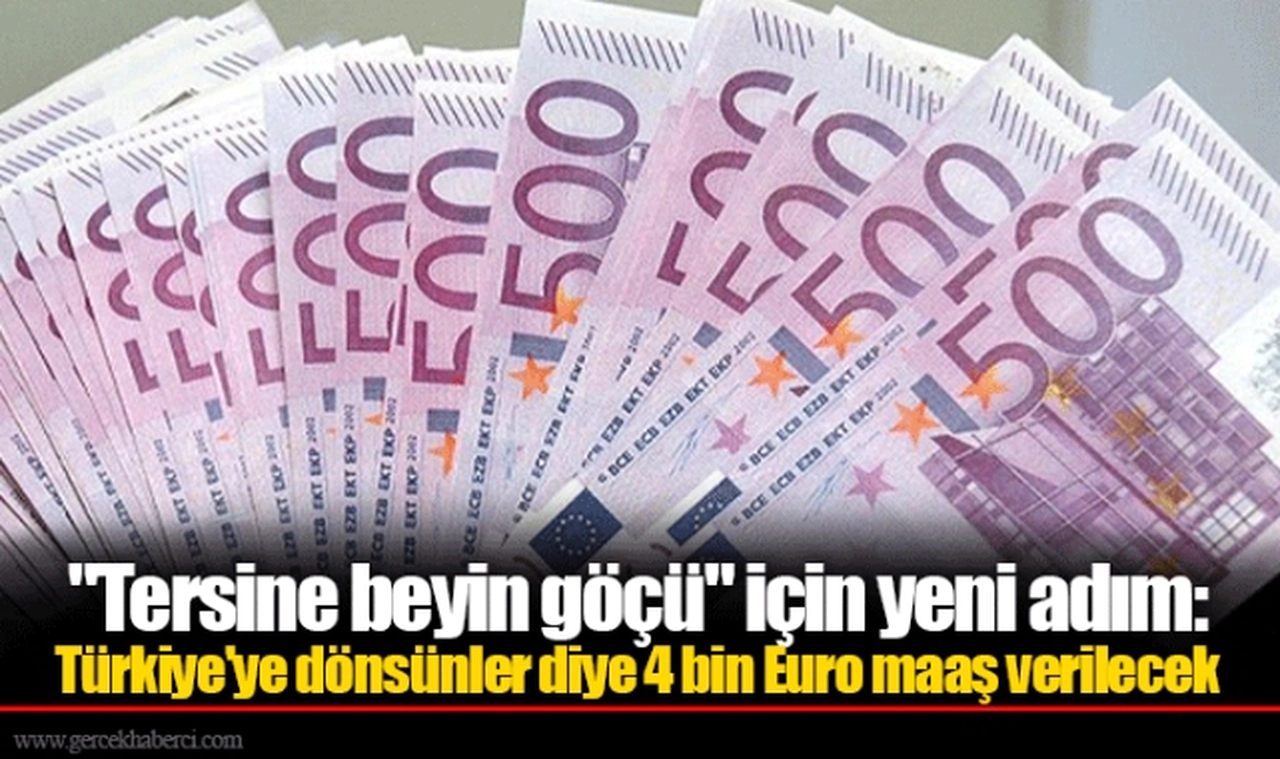 "Tersine beyin göçü" için yeni adım: Türkiye'ye dönsünler diye 4 bin Euro maaş verilecek