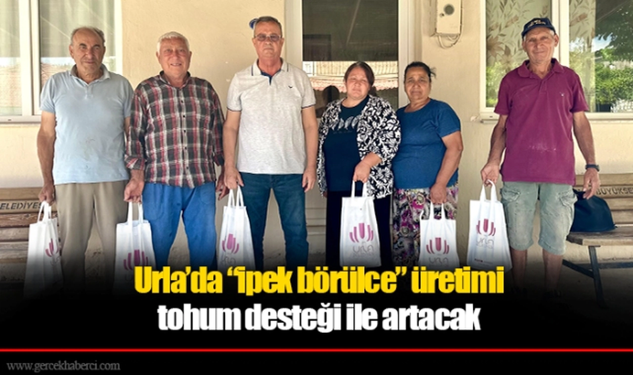 Urla’da “ipek börülce” üretimi  tohum desteği ile artacak